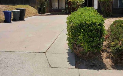 Photo of Samantha A.'s yard after getting landscaping in Jacumba, CA