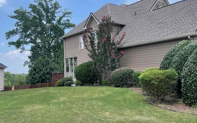 Photo of Steven W.'s yard after getting tree care in Acworth, GA