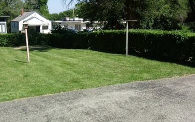 Photo of Levora B W.'s yard after getting landscaping in Creighton, MO