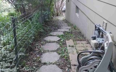 Photo of Carol B.'s yard after getting landscaping in Saint Paul Park, MN