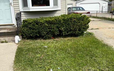 Photo of Amanda C.'s yard after getting landscaping in Kenosha, WI