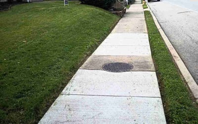 Photo of Pat M.'s yard after getting landscaping in Cincinnati, OH