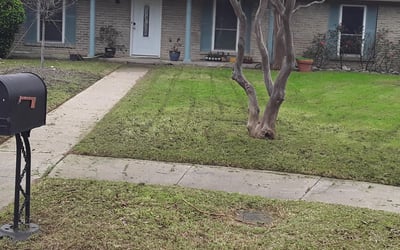 Photo of Brian M.'s yard after getting landscaping in Maypearl, TX