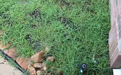Photo of Kevin R.'s yard after getting landscaping in Dobbin, TX