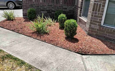 Photo of Richard R.'s yard after getting landscaping in Cat Spring, TX