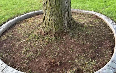 Photo of Tomeka H.'s yard after getting landscaping in Frankfort, IL