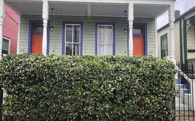 Photo of Ally S.'s yard after getting landscaping in Reserve, LA