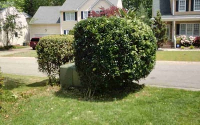 Photo of Bruce L.'s yard after getting landscaping in Benson, NC