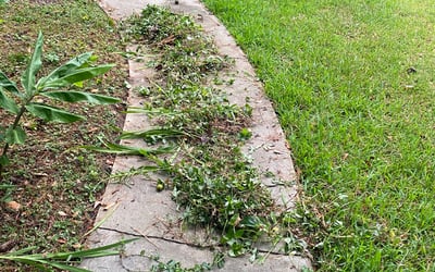 Photo of Chris M.'s yard after getting landscaping in Chattahoochee, FL