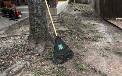 Photo of Amy D.'s yard after getting landscaping in San Antonio, TX