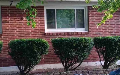 Photo of Daryl B.'s yard after getting landscaping in Shelbyville, KY