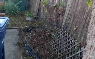Photo of Ron S.'s yard after getting landscaping in Peotone, IL