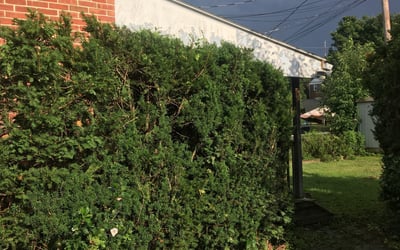Photo of Sarah A.'s yard after getting landscaping in Orefield, PA