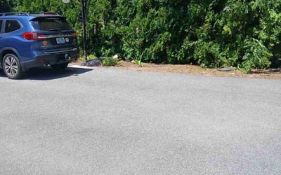 Photo of Kristin M.'s yard after getting landscaping in Warwick, RI