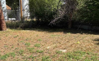 Photo of Anne S.'s yard after getting landscaping in Englewood, CO