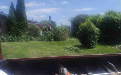 Photo of Mary N.'s yard after getting tree care in Warminster, PA