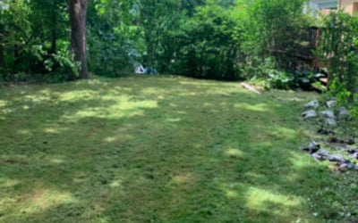 Photo of Rhonda W.'s yard after getting landscaping in Jeannette, PA