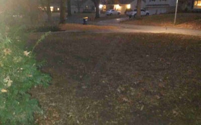 Photo of Mark J.'s yard after getting landscaping in Rockville, MO