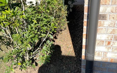 Photo of Judy B.'s yard after getting landscaping in Abbeville, LA