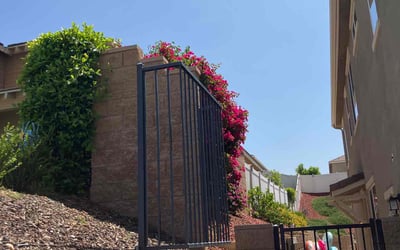 Photo of Sonja N.'s yard after getting landscaping in Highland, CA