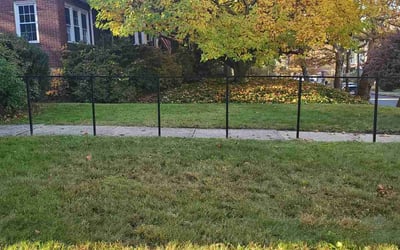 Photo of Alex G.'s yard after getting landscaping in Cranberry Twp, PA