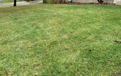 Photo of Tim C.'s yard after getting landscaping in O Fallon, MO