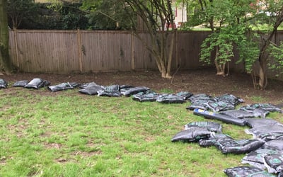Photo of Melissa C.'s yard after getting landscaping in Garrett Park, MD