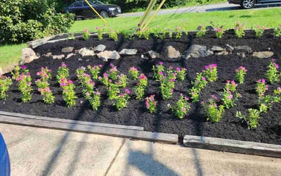 Photo of Rhonda M.'s yard after getting landscaping in Beltsville, MD