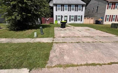 Photo of Twyla G.'s yard after getting tree care in Bel Air, MD