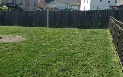 Photo of Jordan R.'s yard after getting landscaping in Shelbyville, KY