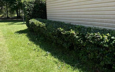 Photo of Anne S.'s yard after getting landscaping in Chattahoochee, FL