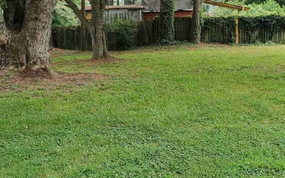 Photo of Betty S.'s yard after getting landscaping in Ordinary, VA