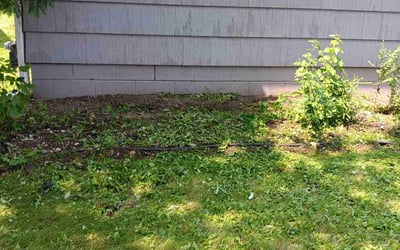 Photo of Patrick M.'s yard after getting landscaping in Rockford, MN
