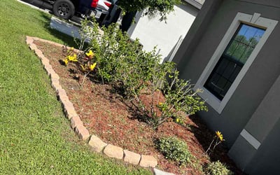 Photo of Lawrence C.'s yard after getting landscaping in Ruskin, FL