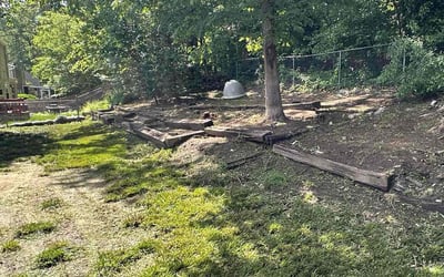 Photo of Sarah P.'s yard after getting landscaping in Charlotte Hall, MD