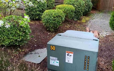 Photo of Mina S.'s yard after getting landscaping in Vashon, WA