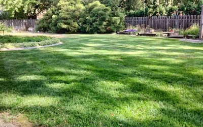 Photo of Johanna C.'s yard after getting tree care in Tacoma, WA