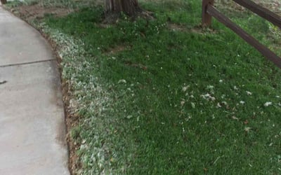 Photo of Michael M.'s yard after getting landscaping in Elbert, CO