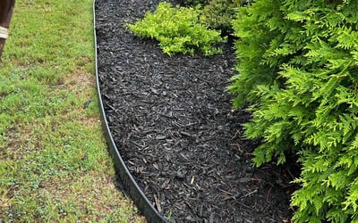 Photo of Michele H.'s yard after getting landscaping in Mico, TX