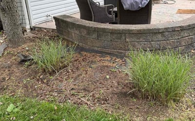 Photo of Denise G.'s yard after getting landscaping in Allentown, PA