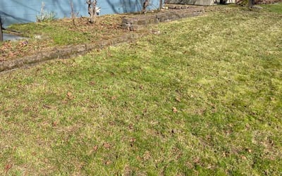 Photo of Scott P.'s yard after getting landscaping in Orting, WA