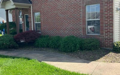 Photo of Brandon L.'s yard after getting landscaping in Sellersburg, IN