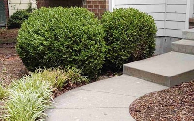 Photo of John S.'s yard after getting lawn care in Andover, KS