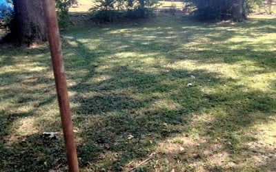 Photo of Susan B.'s yard after getting landscaping in Senatobia, MS