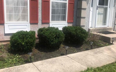 Photo of Edward K.'s yard after getting landscaping in Southampton, PA