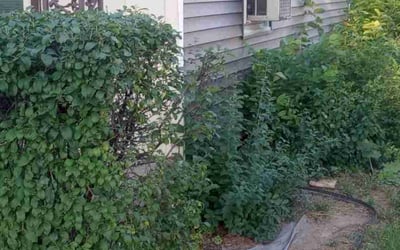 Photo of James S.'s yard after getting landscaping in Pewaukee, WI