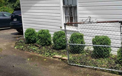 Photo of Nancy R.'s yard after getting landscaping in Taylors, SC