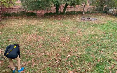 Photo of Eve m.'s yard after getting landscaping in Monterey, CA