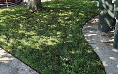 Photo of Gary G.'s yard after getting landscaping in Tahoma, CA