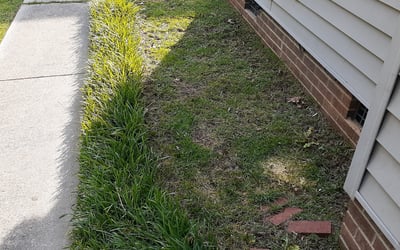 Photo of Leah C.'s yard after getting landscaping in Boone, NC